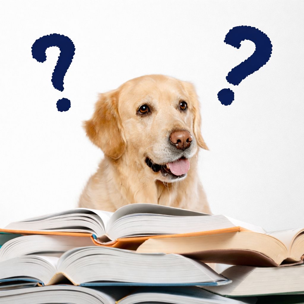 Les 10 questions que vous nous posez le plus sur les complements alimentaires pour animaux